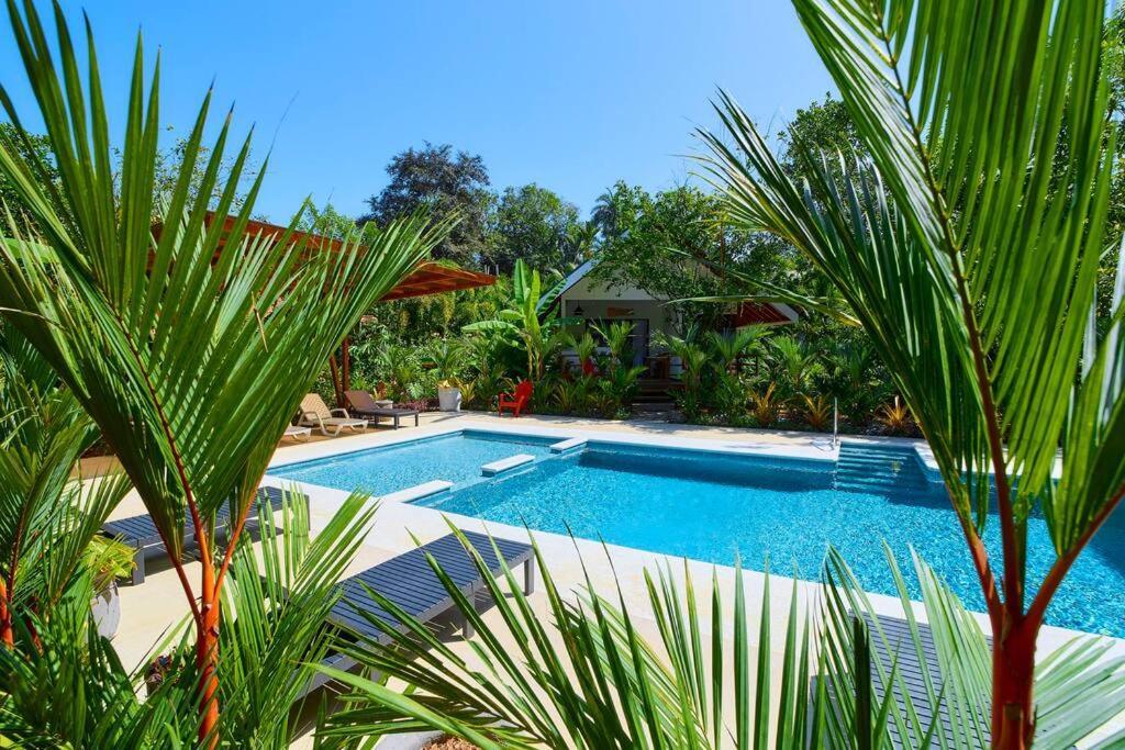 Casa Kristel - Exquisite Villa Getaway Puerto Viejo de Talamanca Zewnętrze zdjęcie